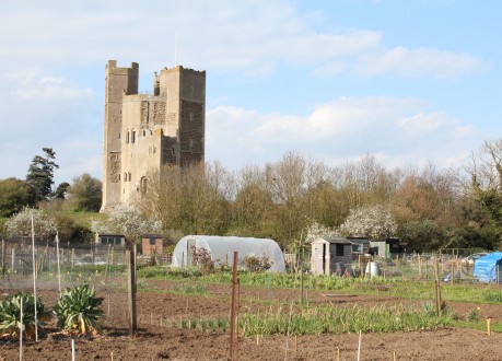 Orford Castle and allotments